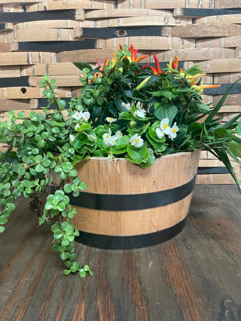 Mini Whiskey Barrel Planter Red Head Oak BarrelsMini Whiskey Barrel