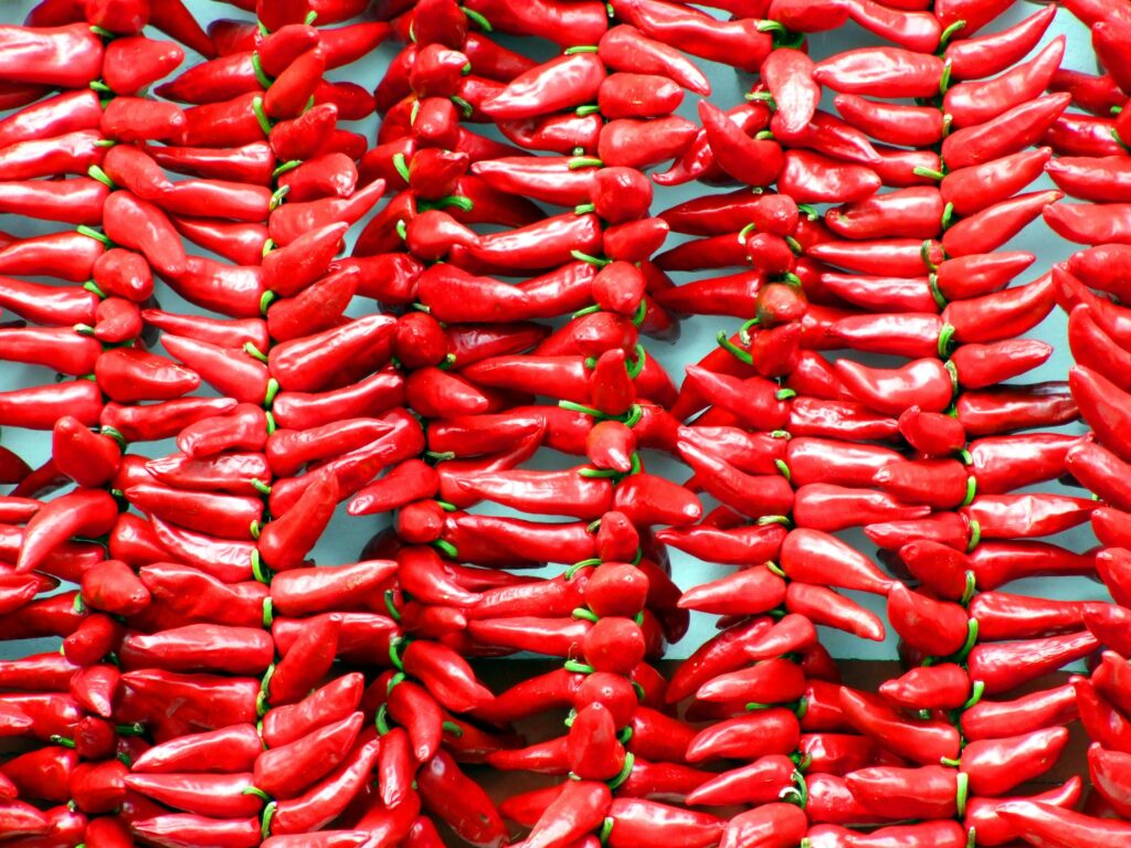 Barrel-Aging Hot Sauce at Home Tips for DIY Enthusiasts